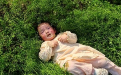 淑娟两腿间又痒了